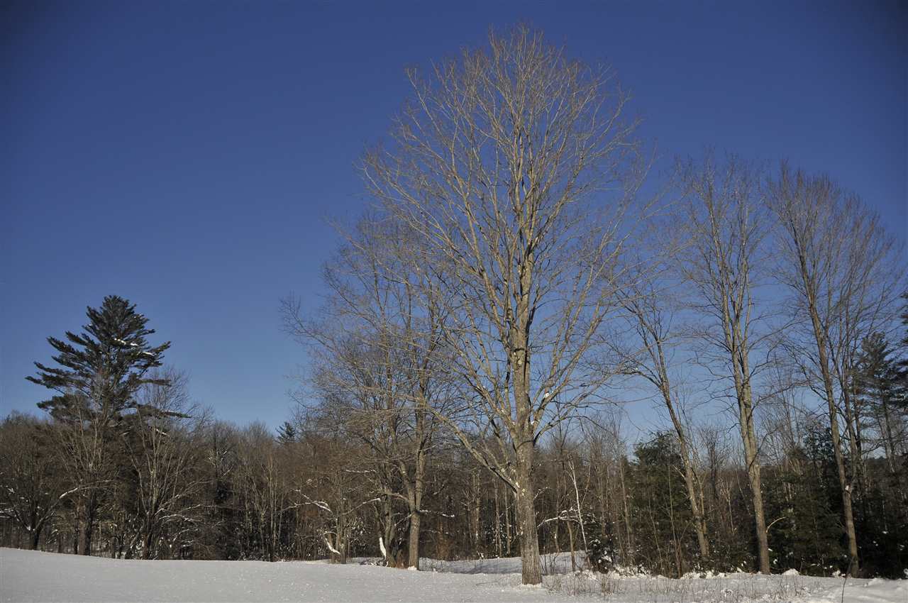 734 Croydon Tpke Road Croydon, NH 03773 - Photo 8 of 17 Gallery Image 8