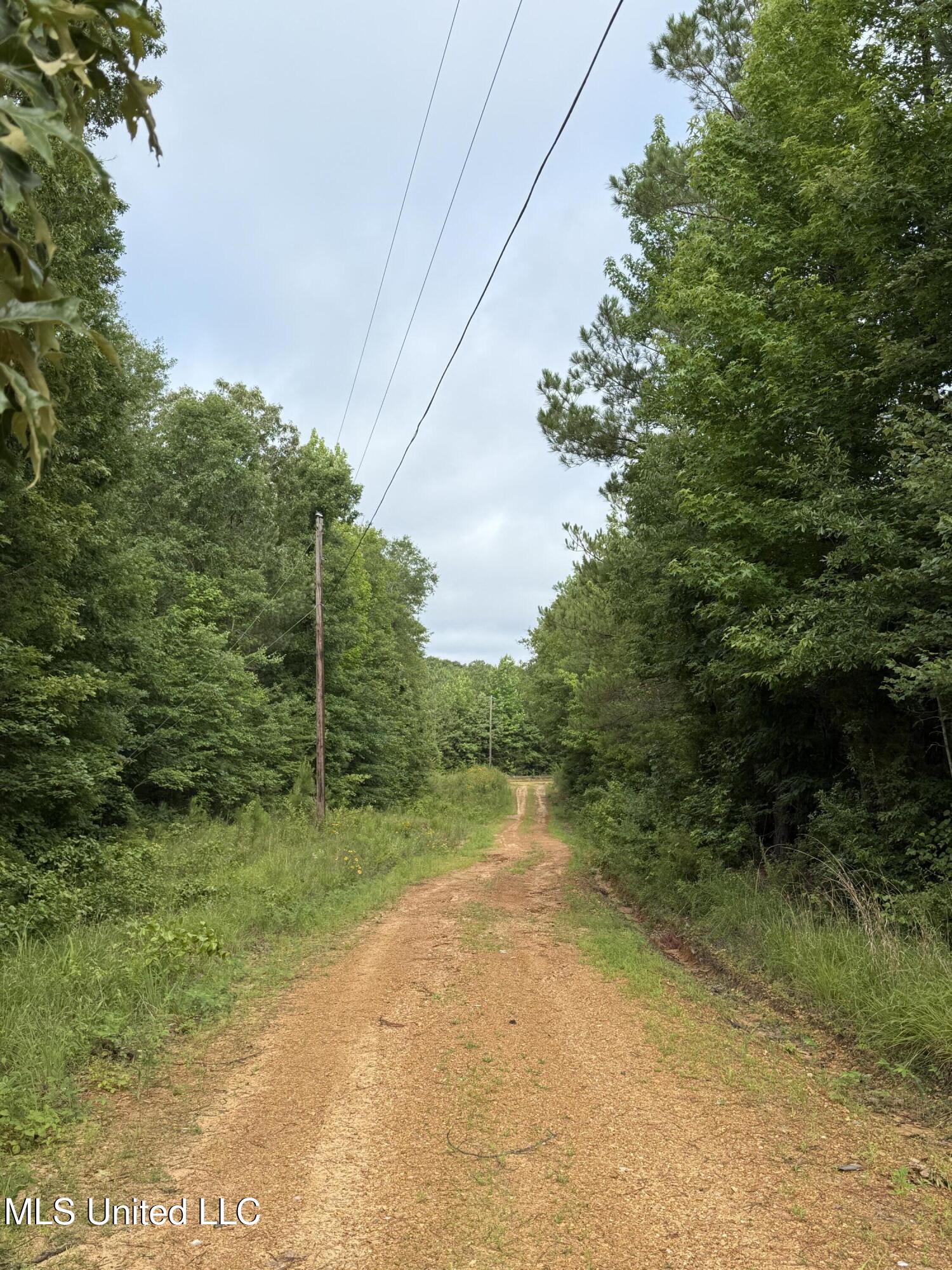 Lake Road Duck Hill, MS 38925 - Photo 15 of 31 IMG_5528
