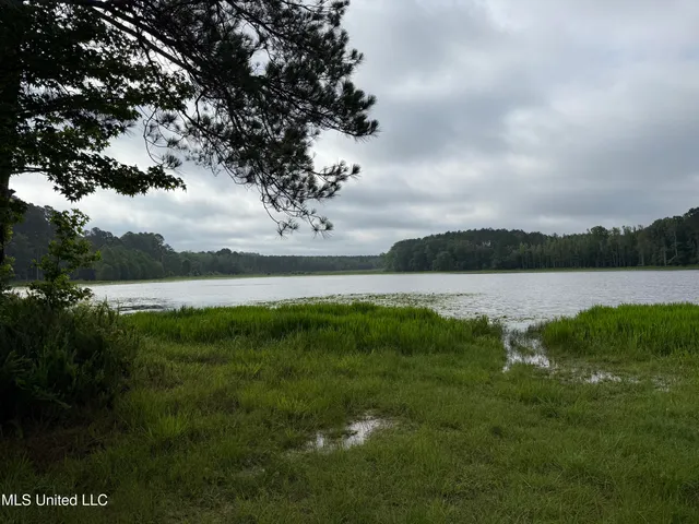 $435,000 | Lake Road, Duck Hill, MS 38925