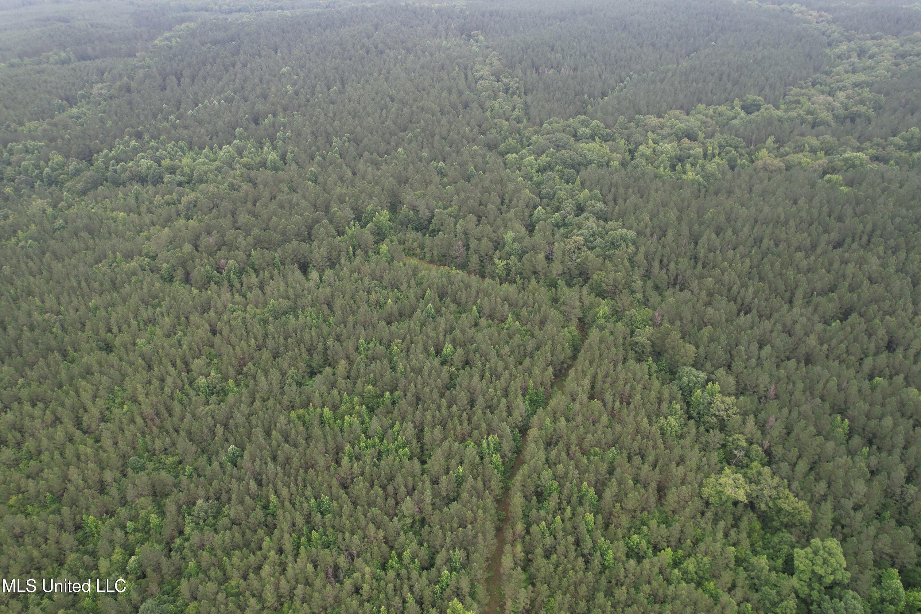 Lake Road Duck Hill, MS 38925 - Photo 18 of 31 DJI_0767