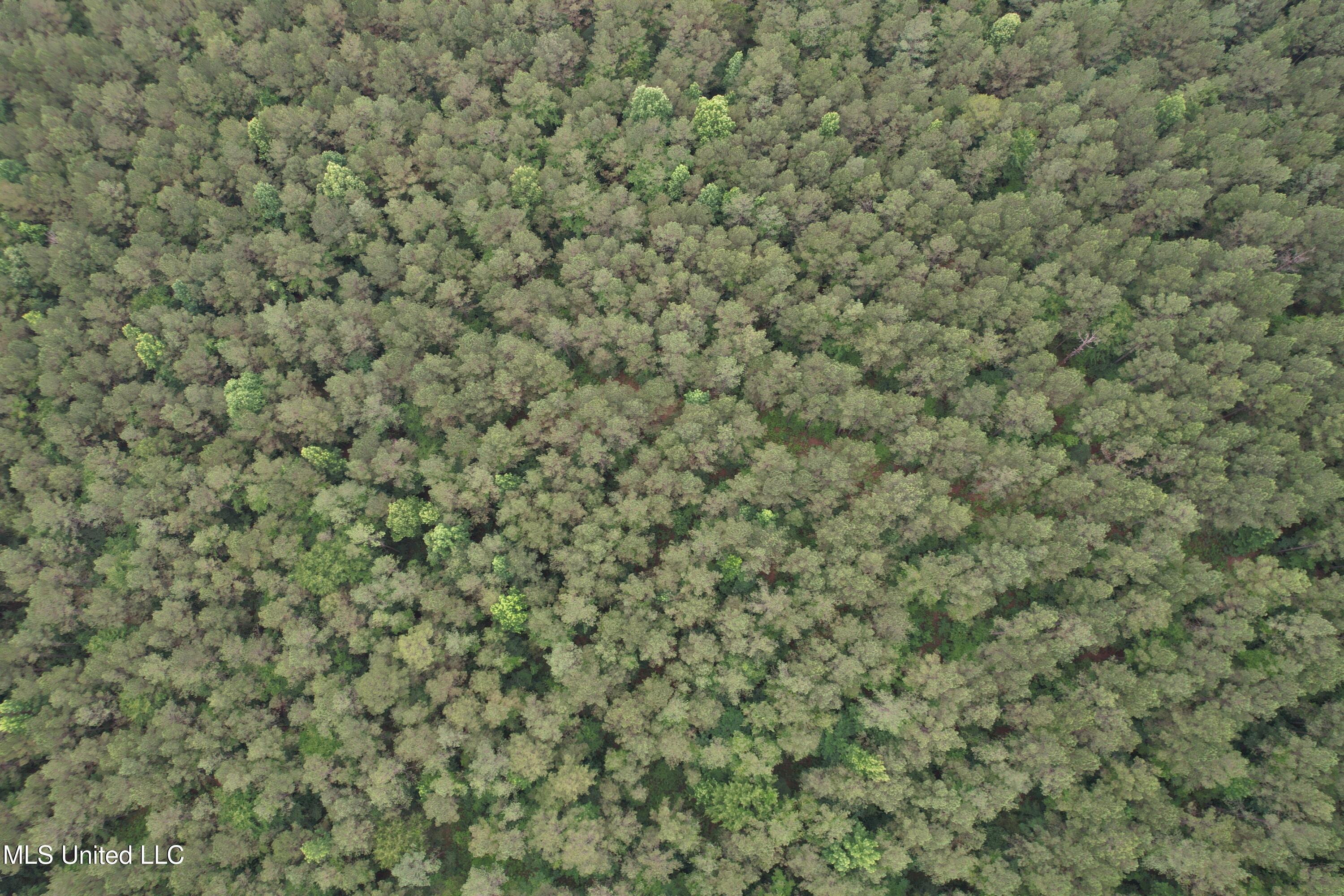 Lake Road Duck Hill, MS 38925 - Photo 20 of 31 DJI_0771