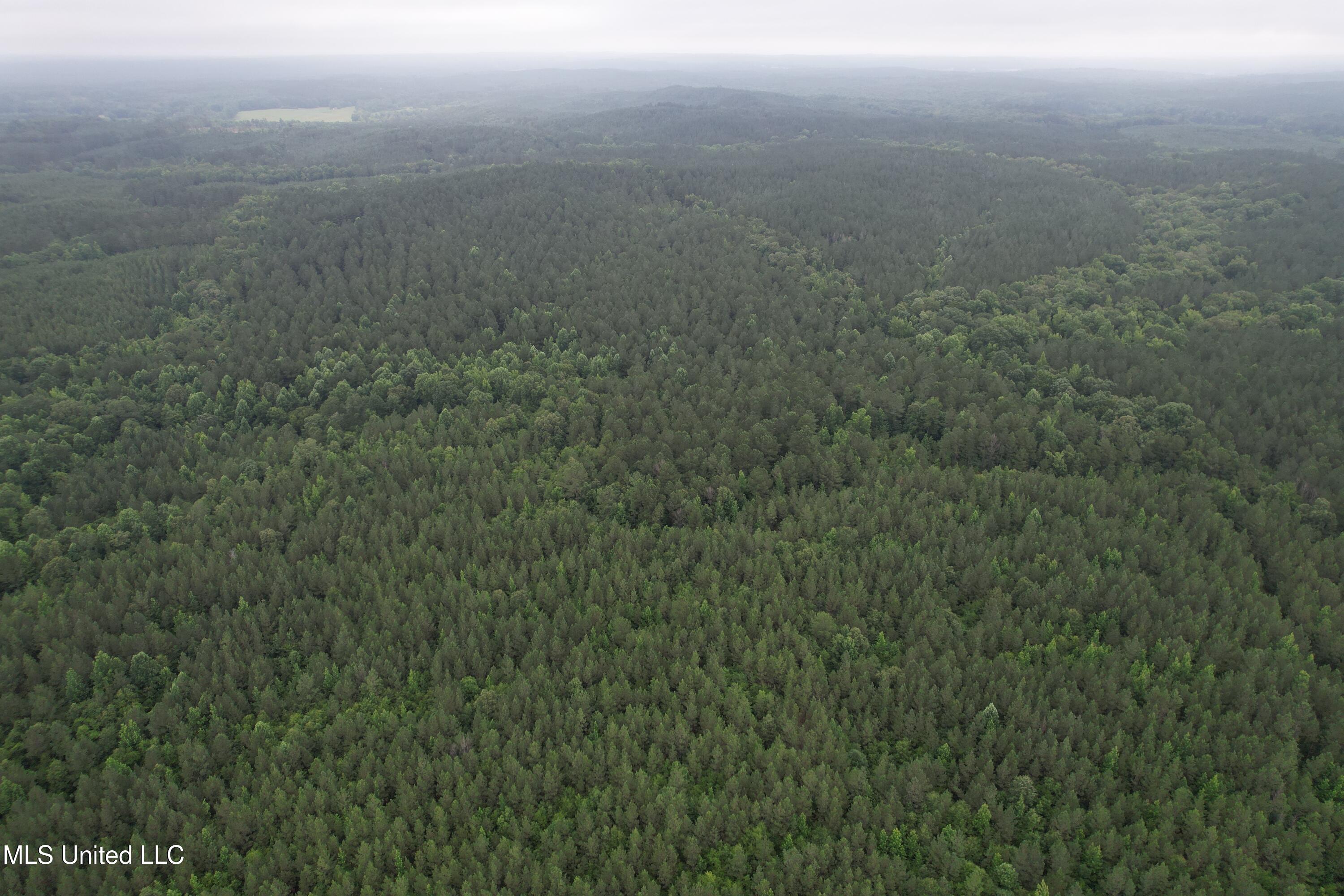 Lake Road Duck Hill, MS 38925 - Photo 22 of 31 DJI_0774