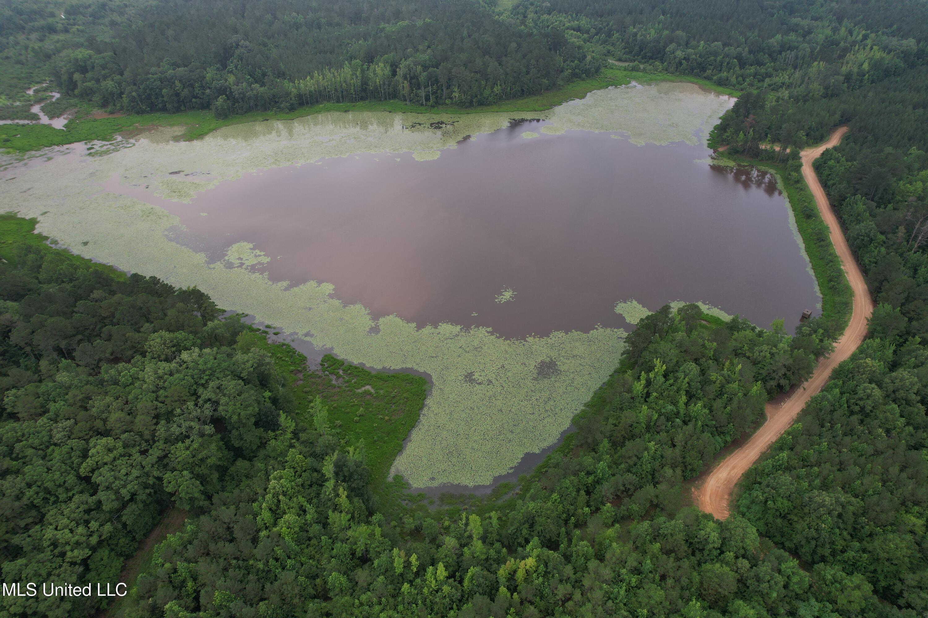 Lake Road Duck Hill, MS 38925 - Photo 4 of 31 5