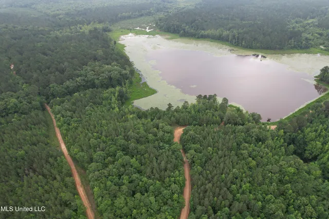 $435,000 | Lake Road, Duck Hill, MS 38925