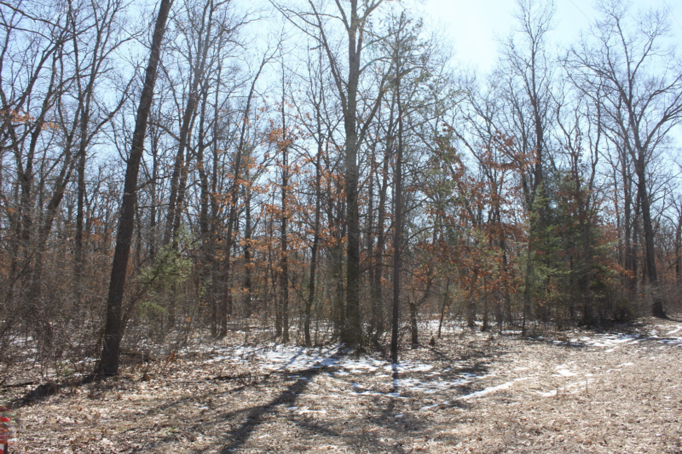 325 North Baker Road Wellston, MI 49689 - Photo 11 of 14 IMG_7988