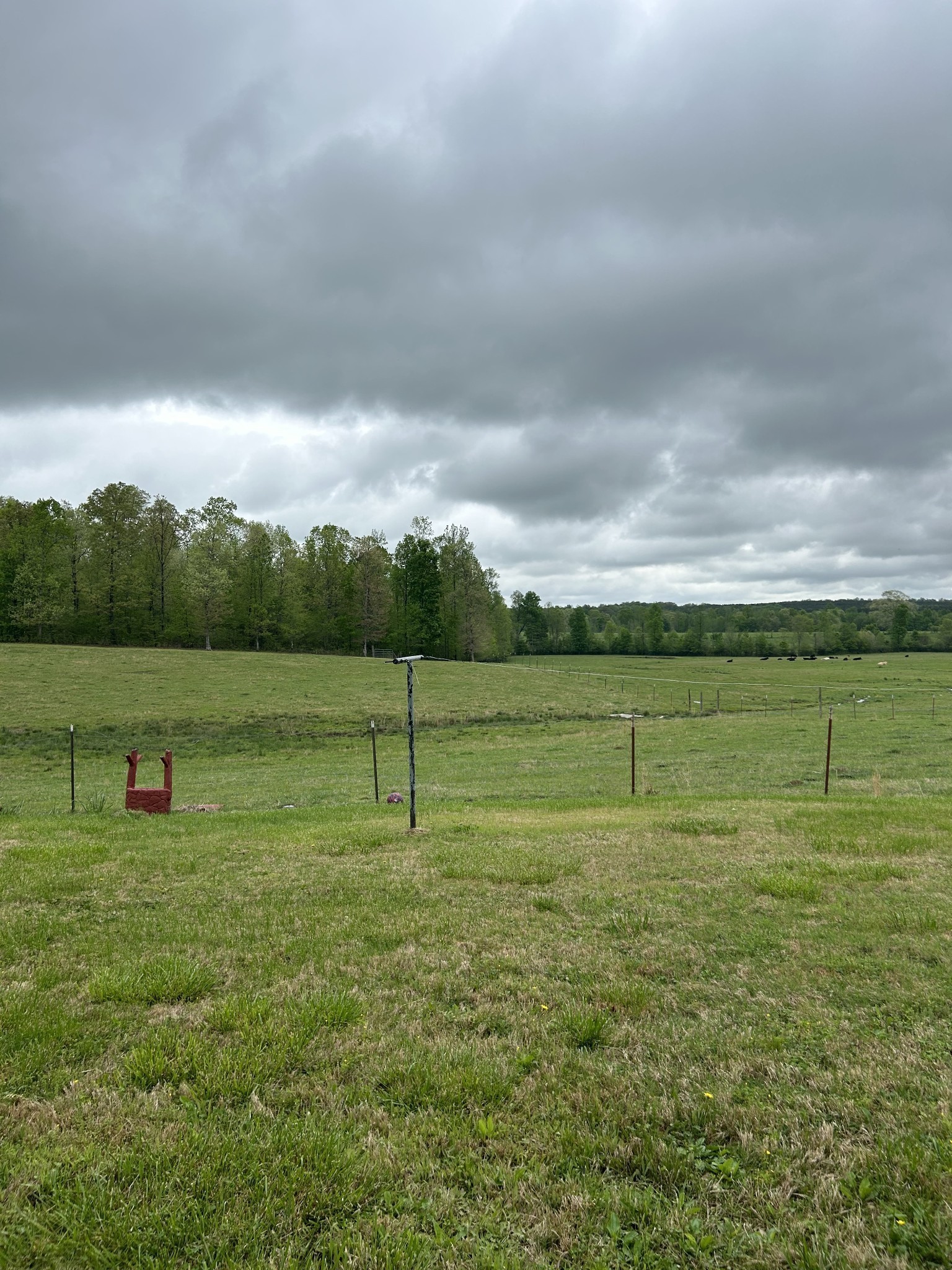 3421 George Olive Road Iron City, TN 38463 - Photo 46 of 51 a view of a golf course with a lake