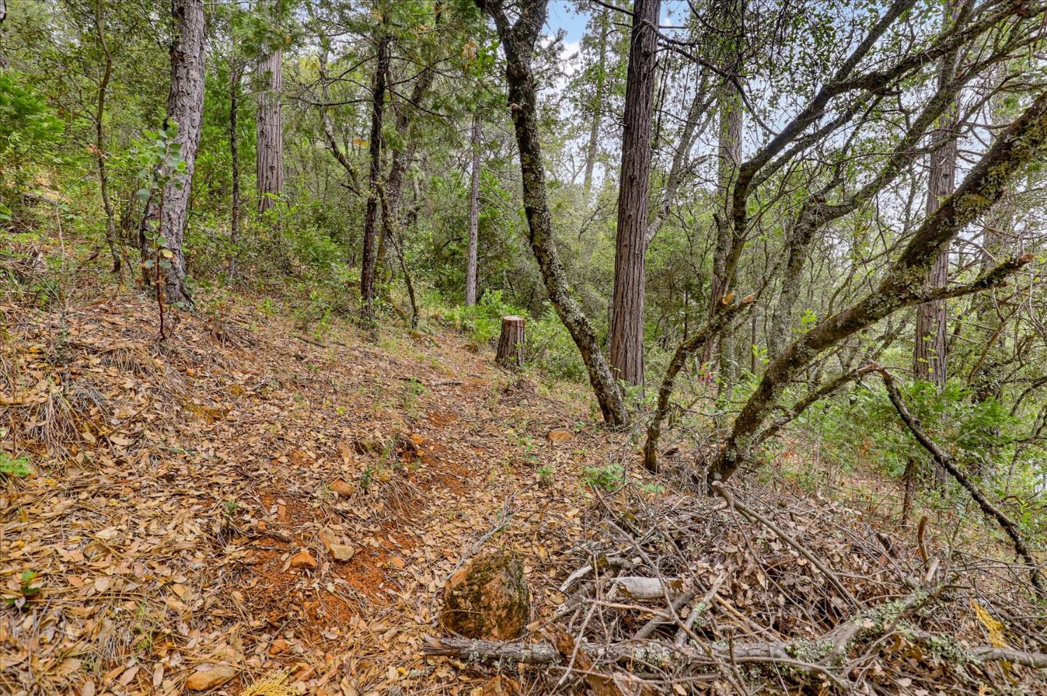 17422 Scopar Road Grass Valley, CA 95949 - Photo 46 of 63