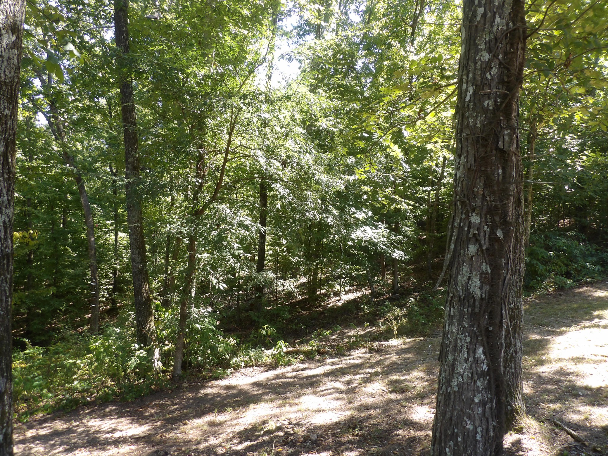2719 McKenzie Road Parsons, TN 38363 - Photo 48 of 59 Gallery Image 48