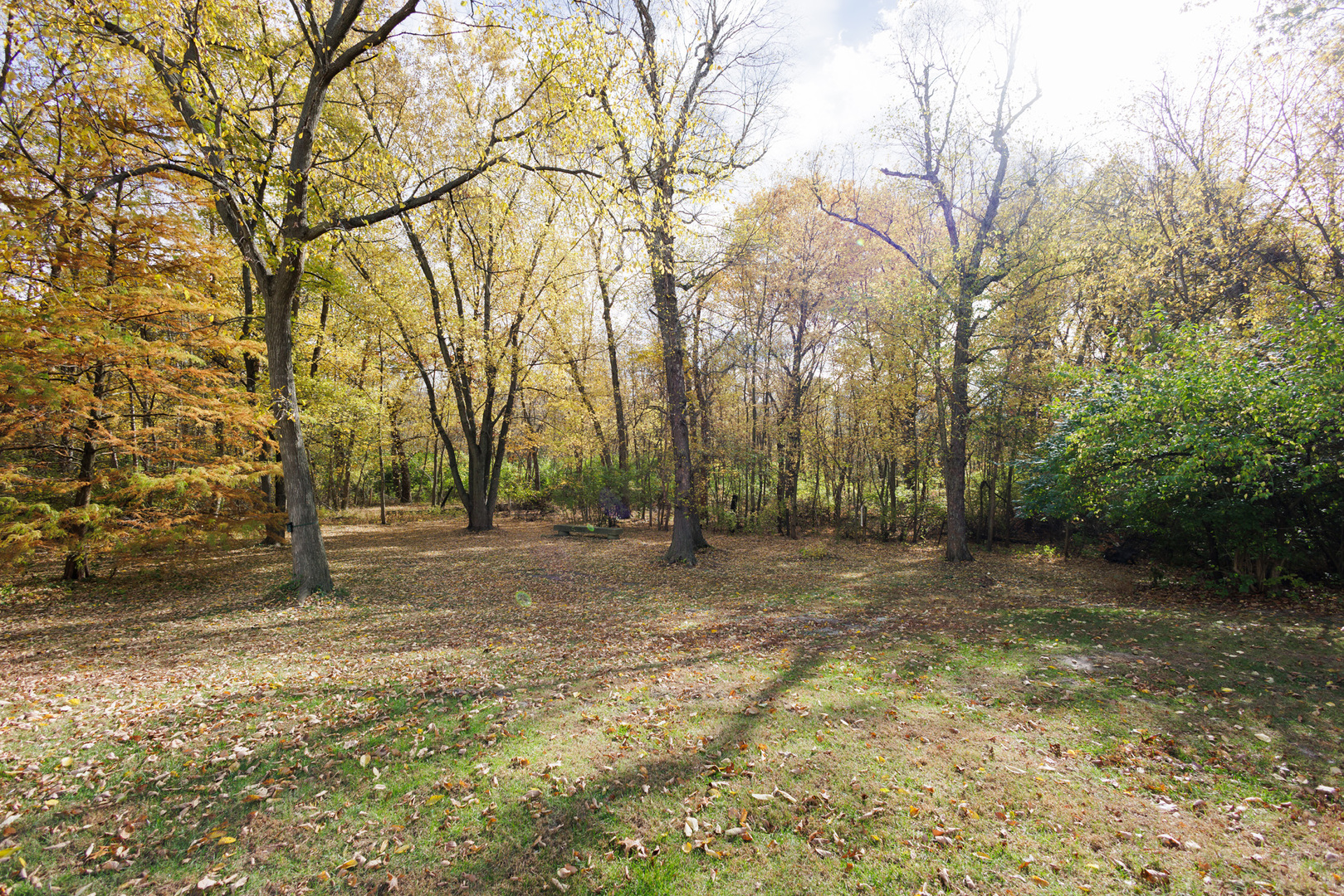 5034 East Boy Scout Road St. Anne, IL 60964 - Photo 7 of 50 a view of a yard with trees