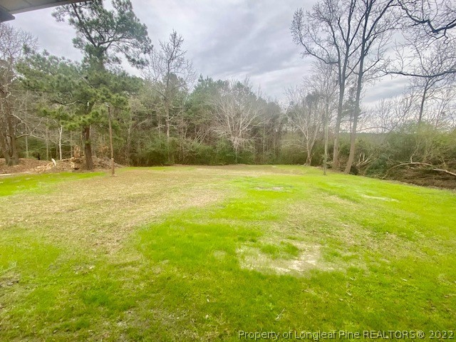 4601 Atkinson Road Orrum, NC 28369 - Photo 25 of 31 Gallery Image 25