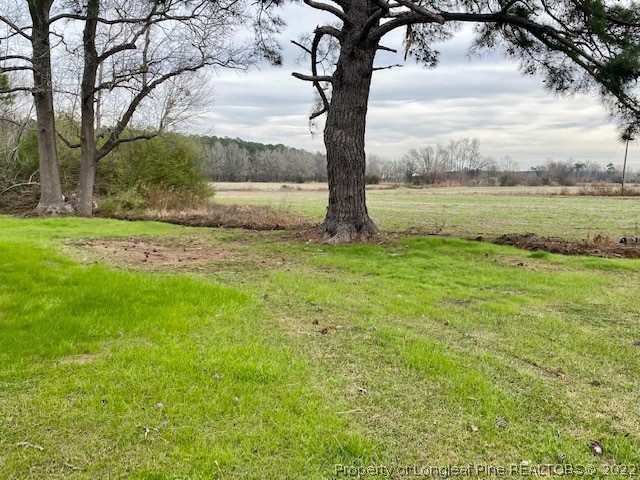 4601 Atkinson Road Orrum, NC 28369 - Photo 26 of 31 Gallery Image 26
