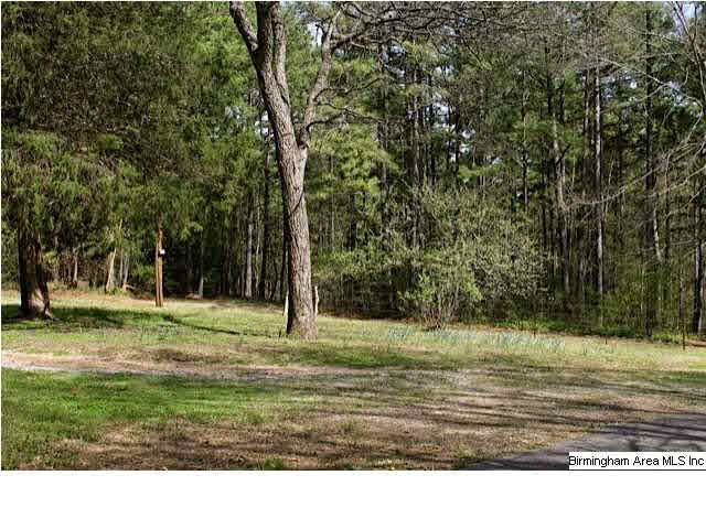 335 Cove Shocco Road Talladega, AL 35160 - Photo 7 of 24