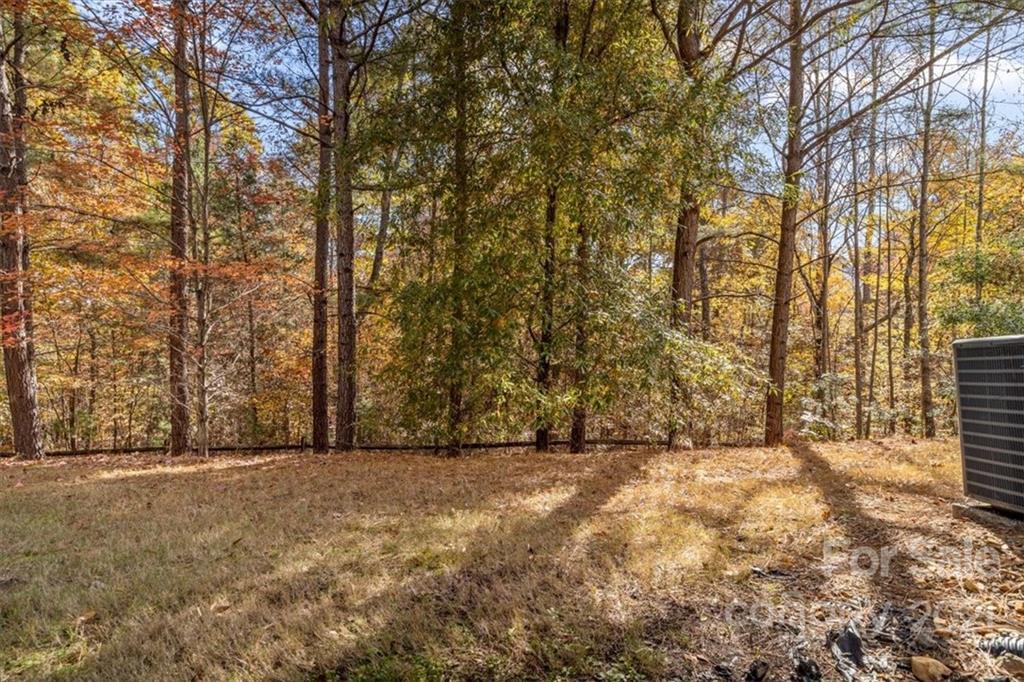 16856 Timber Crossing Road Charlotte, NC 28213 - Photo 44 of 44 Gallery Image 44