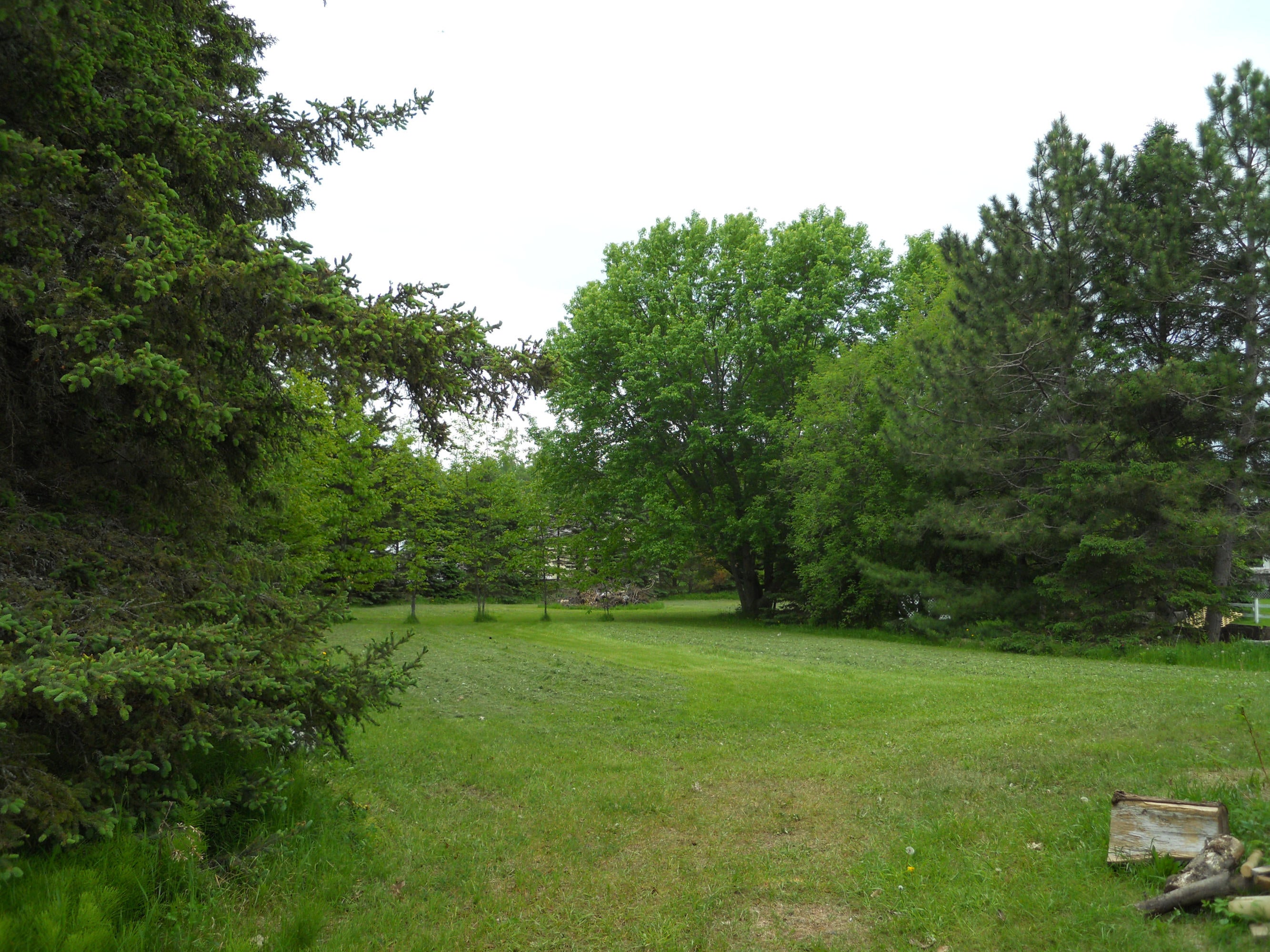 10168 West Irish Line Road Brimley, MI 49715 - Photo 4 of 27 Gallery Image 4