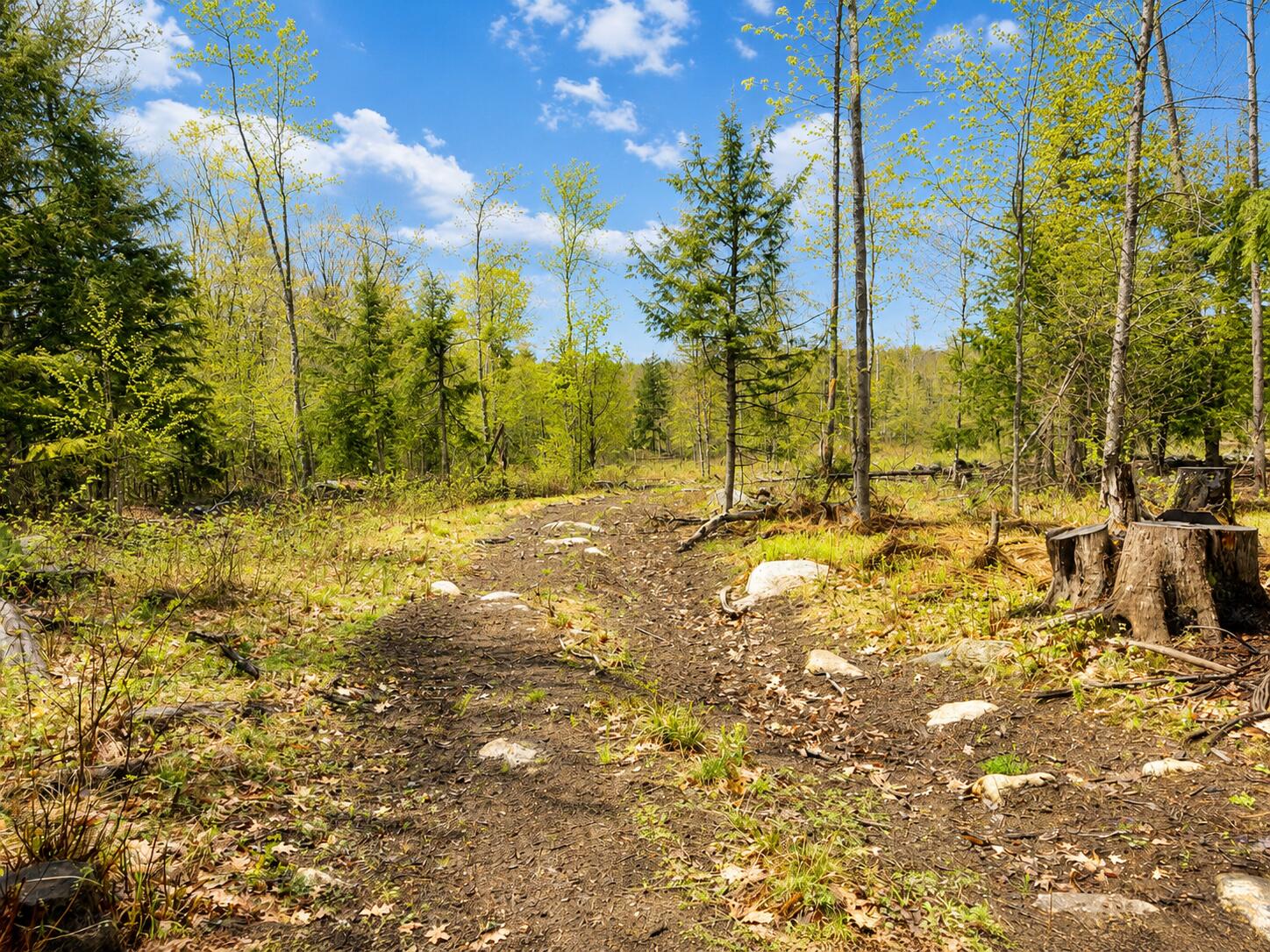 Map13-lot30 Clarks Bridge Road North Waterboro, ME 04061 - Photo 3 of 6 48B911AE-9F45-440A-A946-99443D33F829