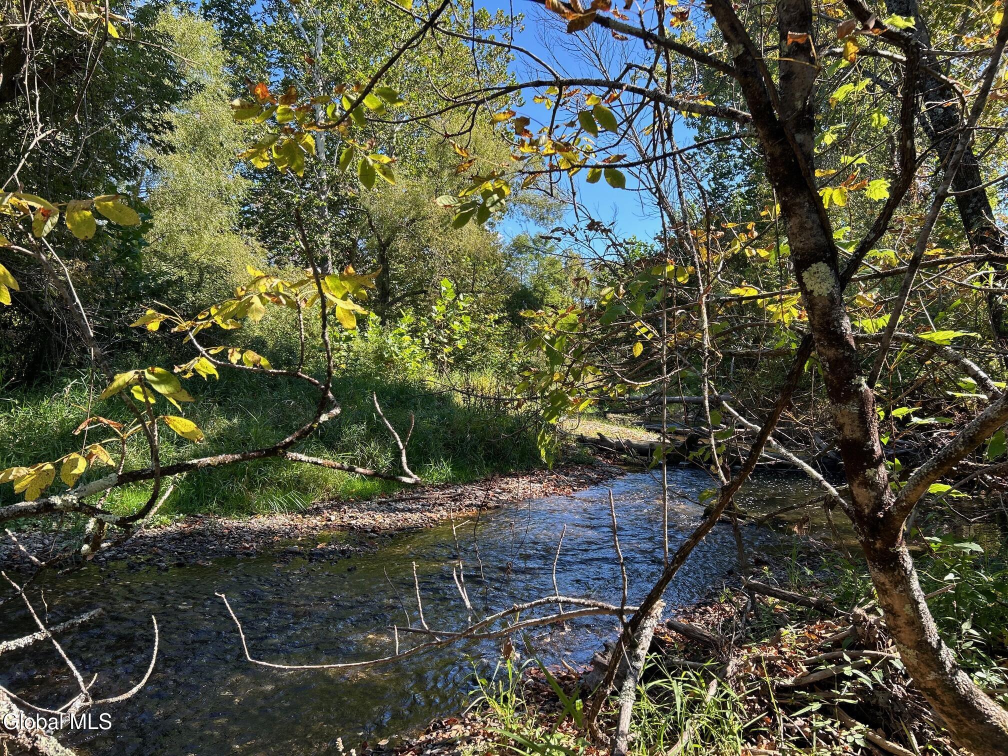 763 Turnpike Road Eagle Bridge, NY 12057 - Photo 78 of 95 Owl Kill 2
