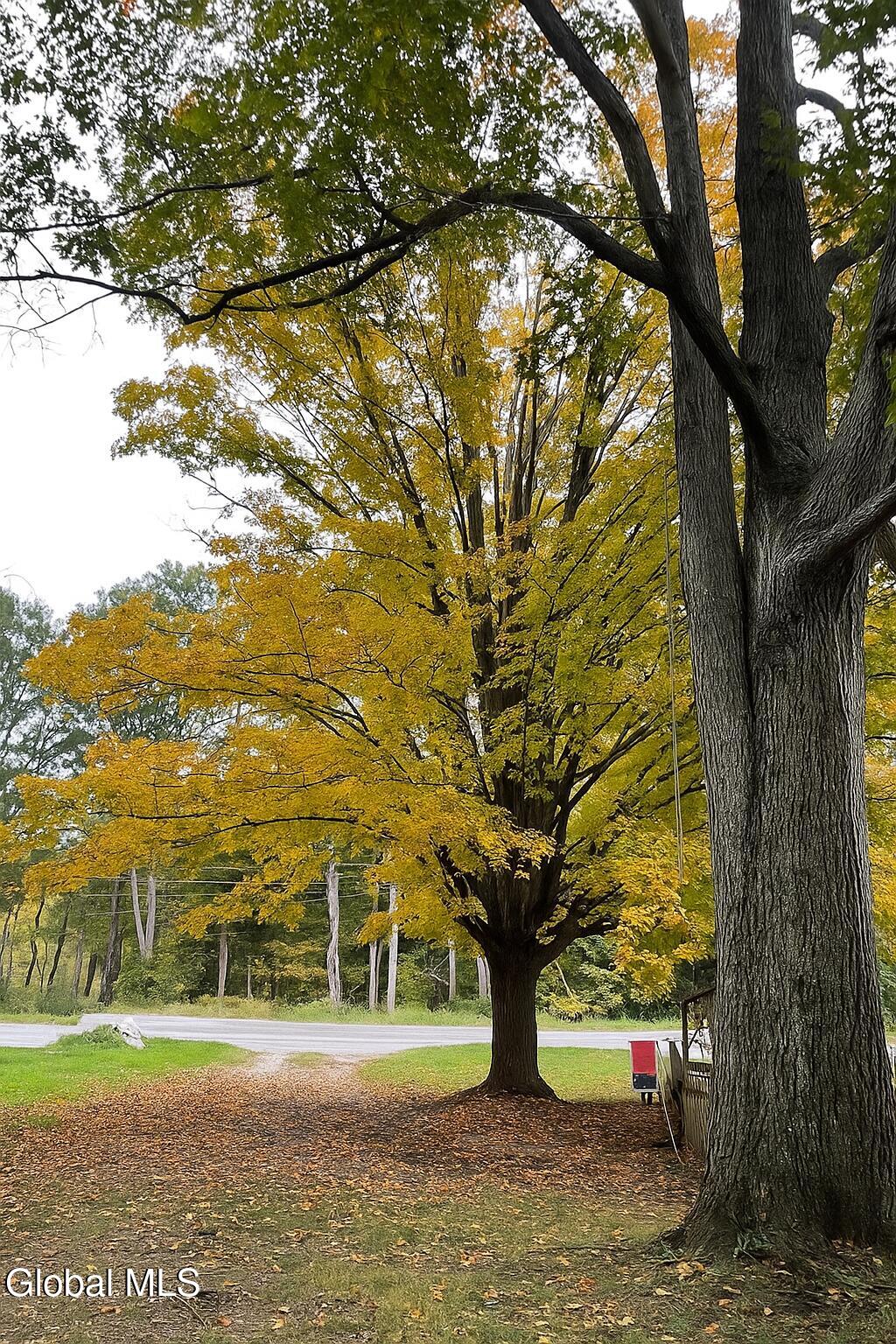 763 Turnpike Road Eagle Bridge, NY 12057 - Photo 80 of 95 Fall Tree