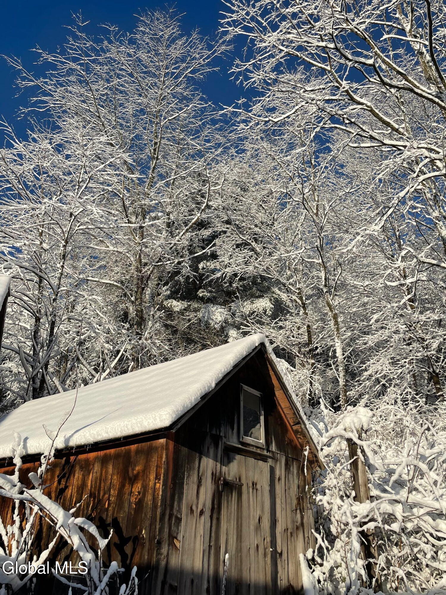 763 Turnpike Road Eagle Bridge, NY 12057 - Photo 81 of 95 Winter 4