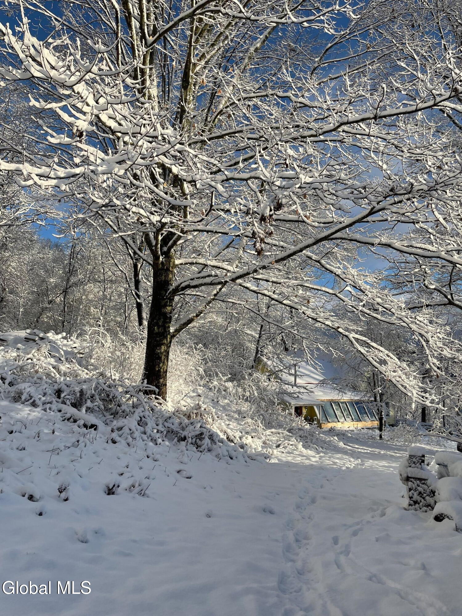 763 Turnpike Road Eagle Bridge, NY 12057 - Photo 83 of 95 Winter 3