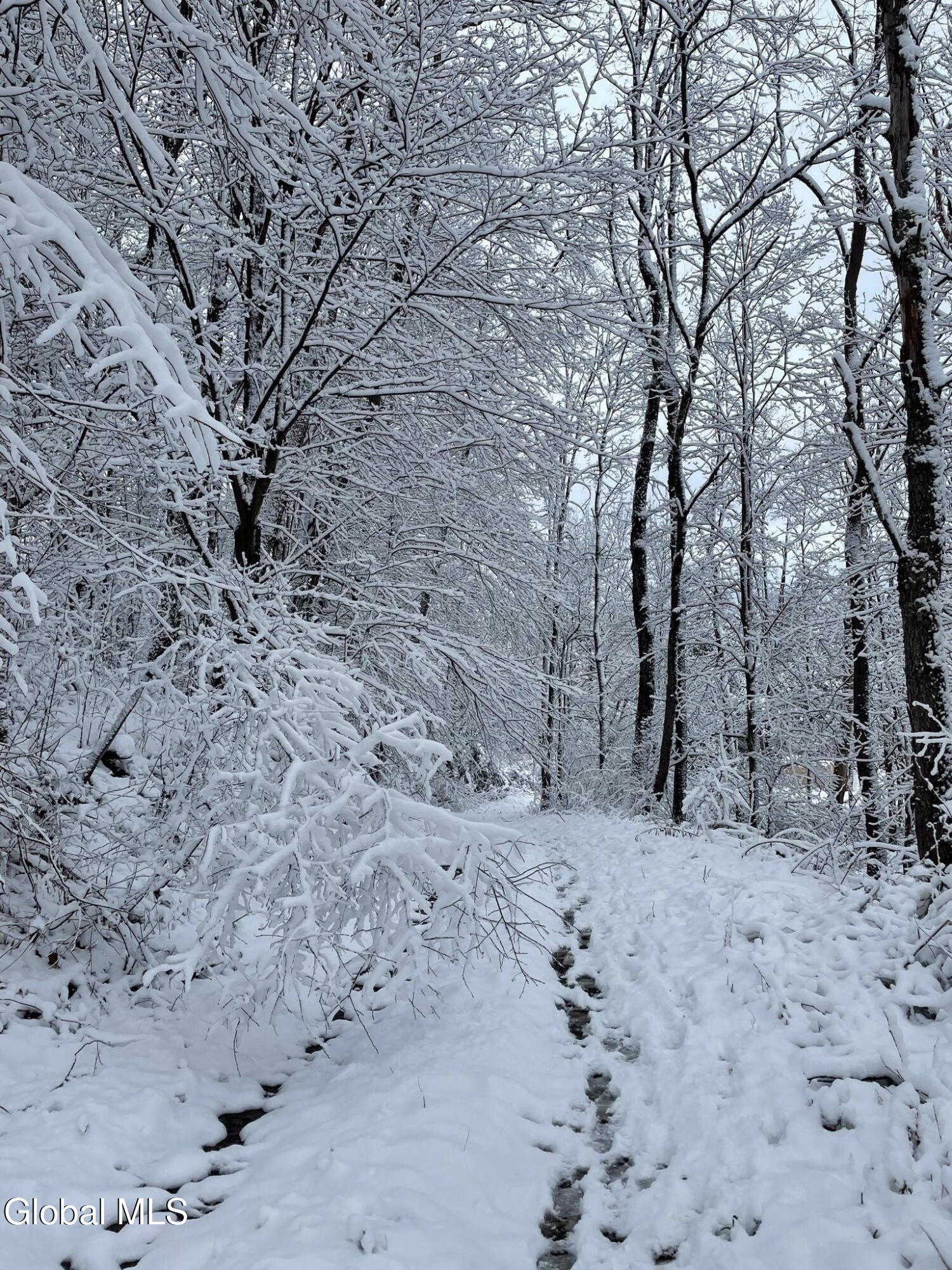 763 Turnpike Road Eagle Bridge, NY 12057 - Photo 85 of 95 Winter 2