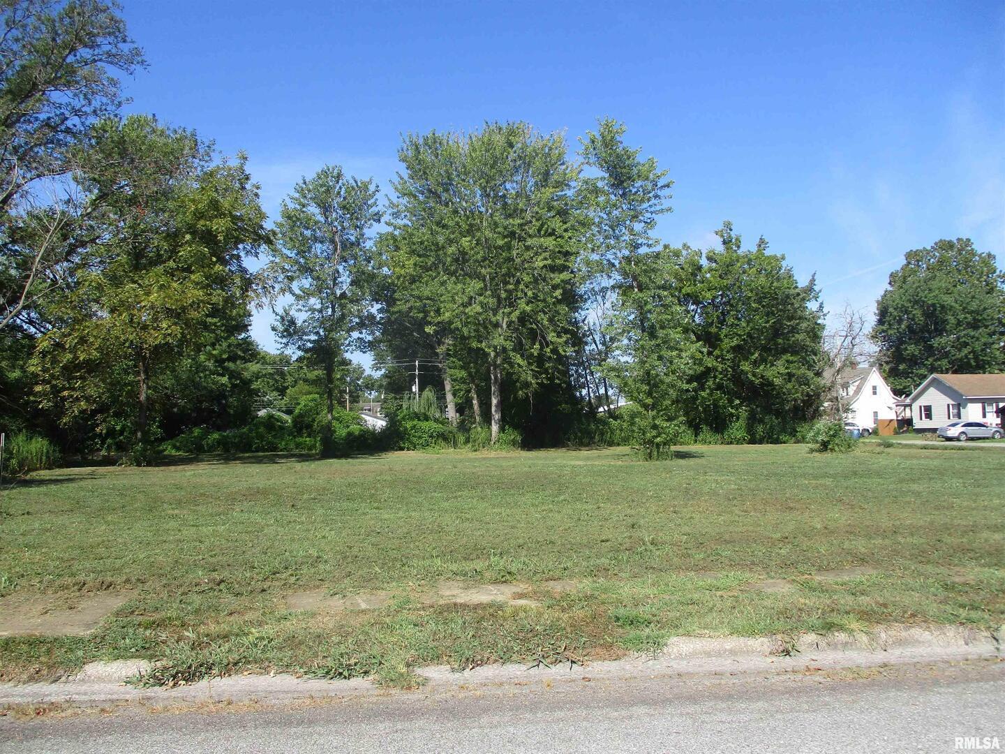 0 North Buchanan Street Benton, IL 62812 - Photo 9 of 23