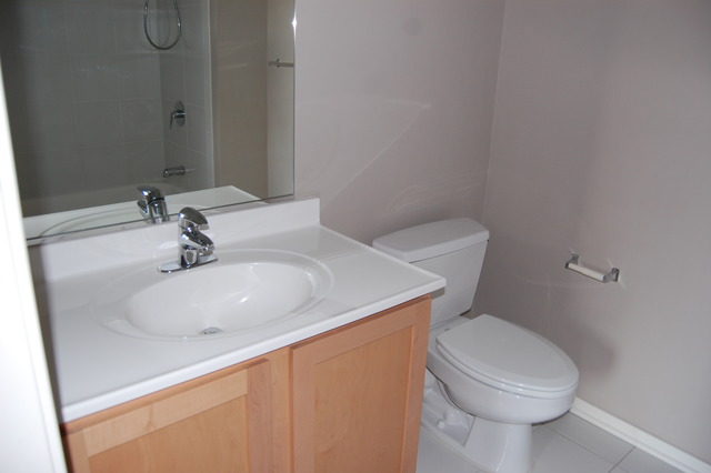 1 East 8th Street, Unit 306 Chicago, IL 60605 - Photo 11 of 11