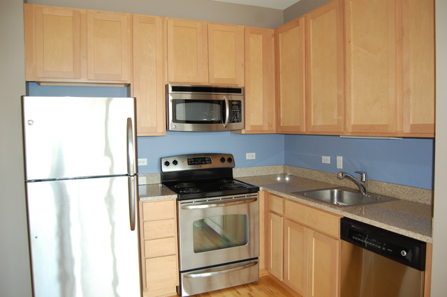 1 East 8th Street, Unit 306 Chicago, IL 60605 - Photo 2 of 11