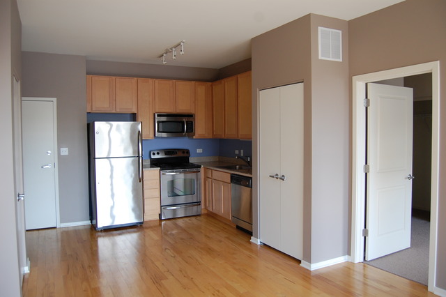 1 East 8th Street, Unit 306 Chicago, IL 60605 - Photo 3 of 11