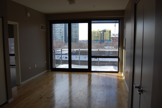 1 East 8th Street, Unit 306 Chicago, IL 60605 - Photo 4 of 11