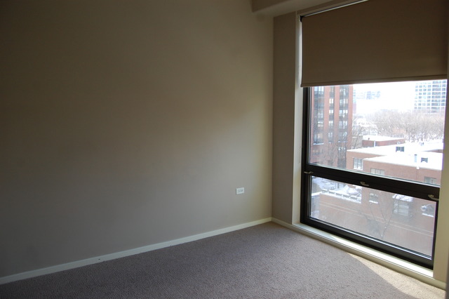 1 East 8th Street, Unit 306 Chicago, IL 60605 - Photo 6 of 11