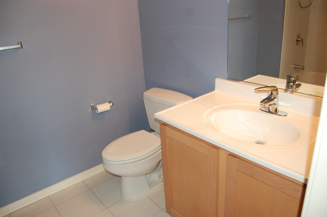 1 East 8th Street, Unit 306 Chicago, IL 60605 - Photo 7 of 11
