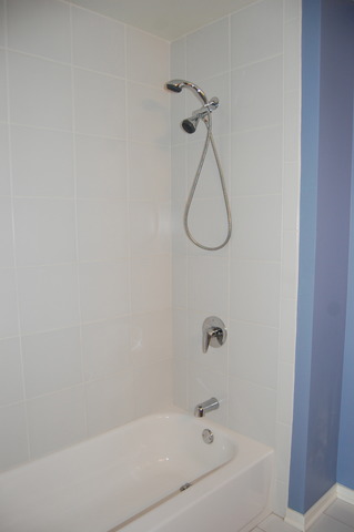 1 East 8th Street, Unit 306 Chicago, IL 60605 - Photo 8 of 11
