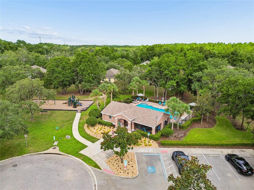 12155 Infinity Drive New Port Richey, FL 34654 - Photo 67 of 75