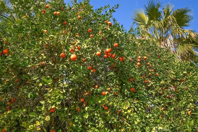 $5,000 | 75270 Palm Shadow Drive, Indian Wells, CA 92210