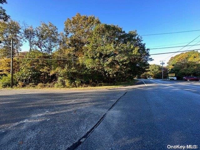 Vl Neighborhood Road Mastic, NY 11950 - Photo 2 of 2 a view of road view with large trees