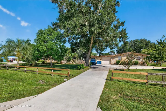 a view of a park with large trees