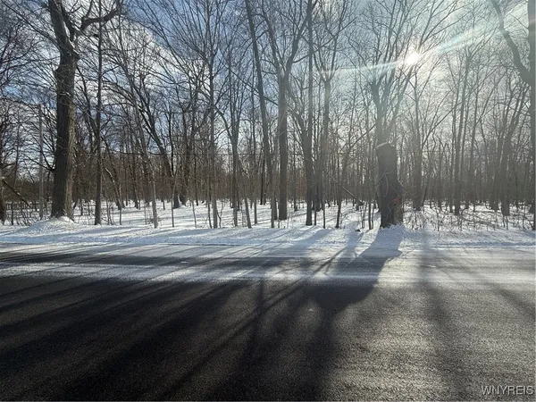 $235,000 | V/l Stage Road, Akron, NY 14001