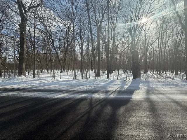 $235,000 | V/l Stage Road, Akron, NY 14001