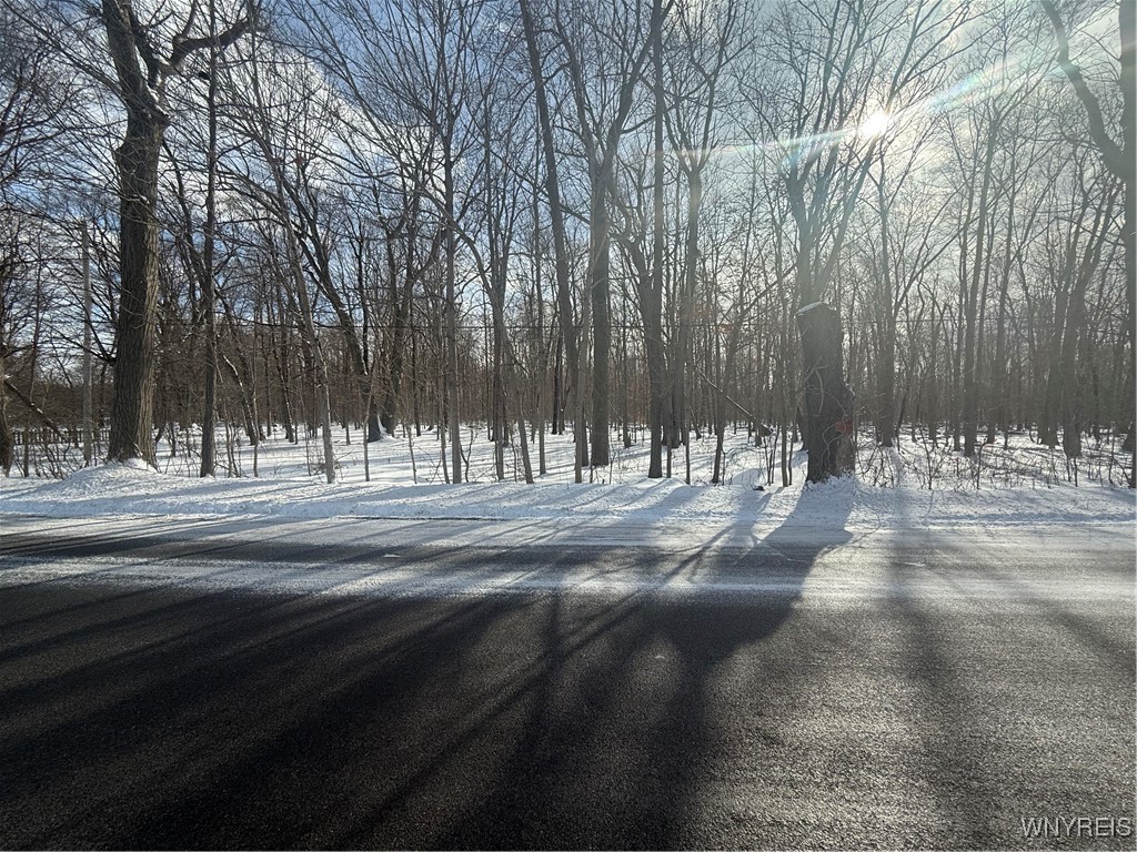 V/l Stage Road Akron, NY 14001 - Photo 1 of 1