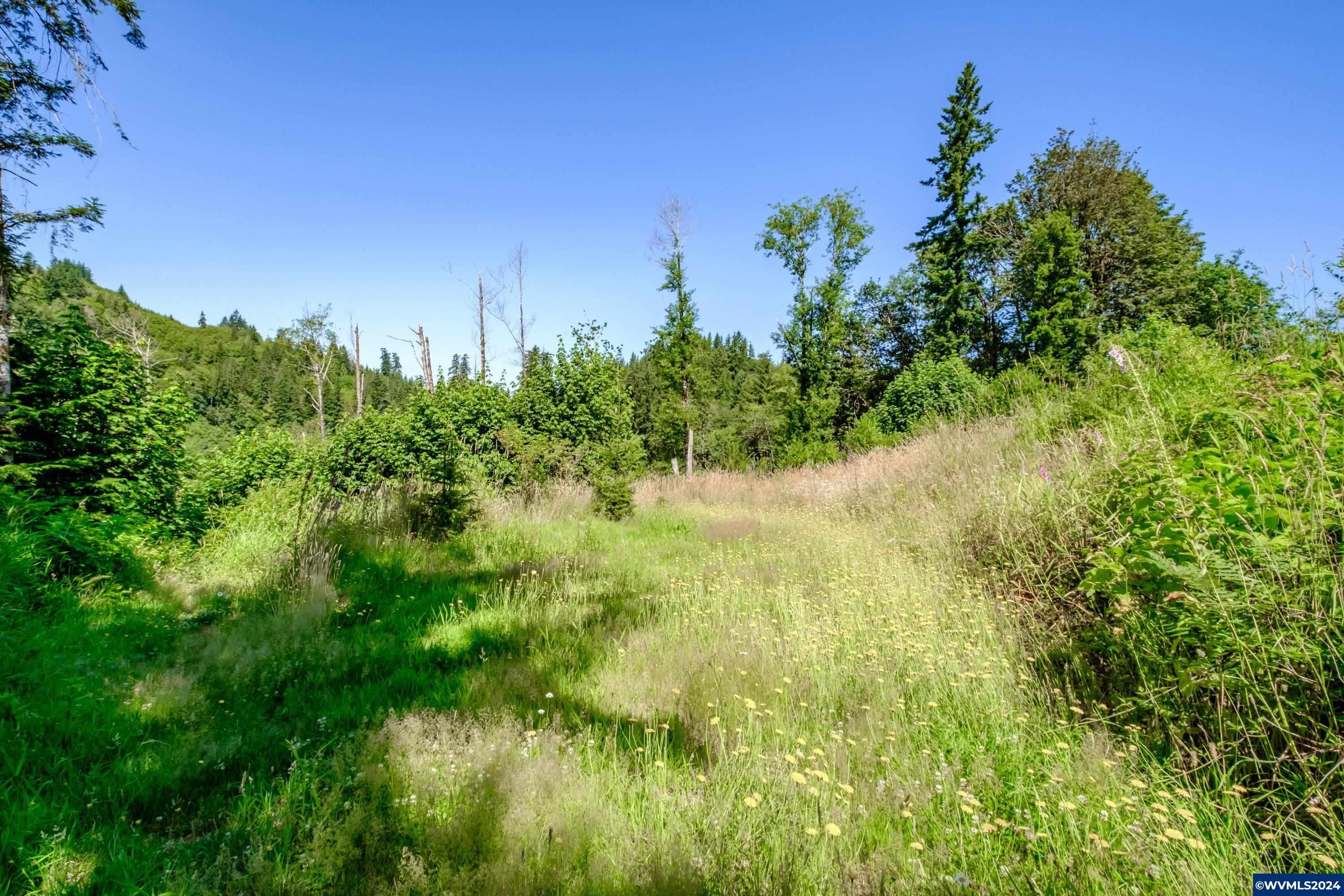 42756 Elsie Deer Road Seaside, OR 97138 - Photo 4 of 7 Gallery Image 4