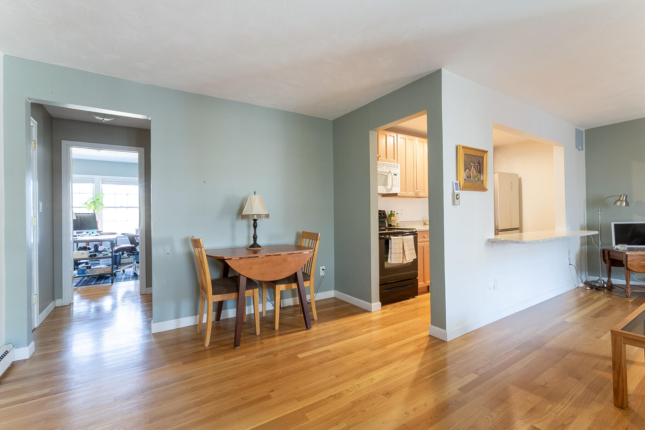 175 Pine Street, Unit 2I Portland, ME 04102 - Photo 5 of 13 Living Room 175 Pine St 2I, Portland