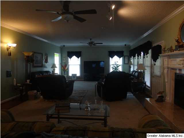 4150 Highway 174 Springville, AL 35146 - Photo 20 of 29