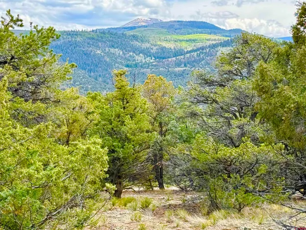 $85,000 | 207 Wolf Creek Road, South Fork, CO 81154