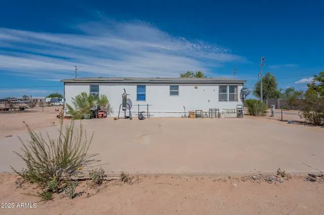 a view of a dry yard with a large tree
