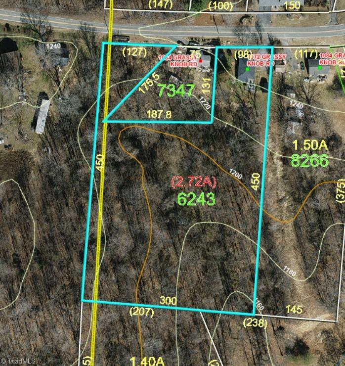 1072 Grassy Knob Road Pinnacle, NC 27043 - Photo 5 of 19