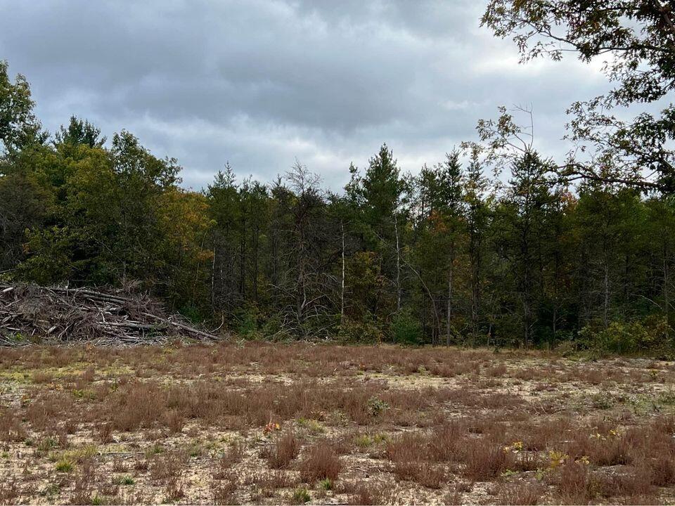 10798 West County Line Road Newaygo, MI 49337 - Photo 3 of 10 Newaygo 1
