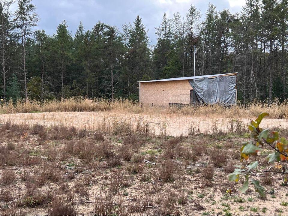 10798 West County Line Road Newaygo, MI 49337 - Photo 4 of 10 Newaygo 6