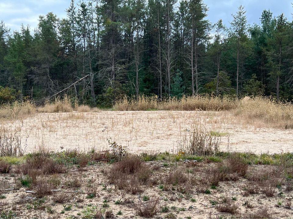 10798 West County Line Road Newaygo, MI 49337 - Photo 5 of 10 Newaygo 5
