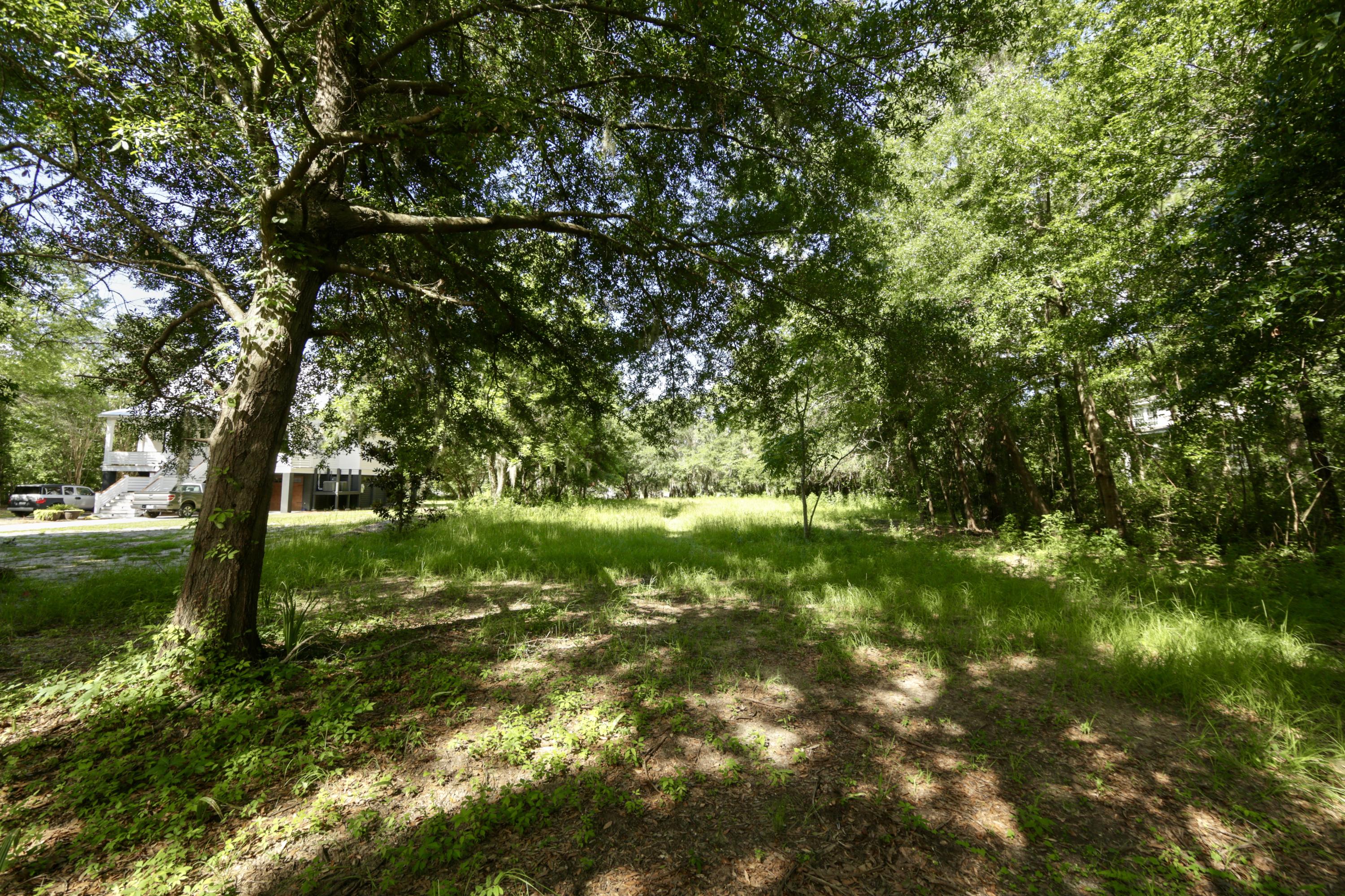 3710 Chisolm Road Johns Island, SC 29455 - Photo 14 of 30 Mature Oak