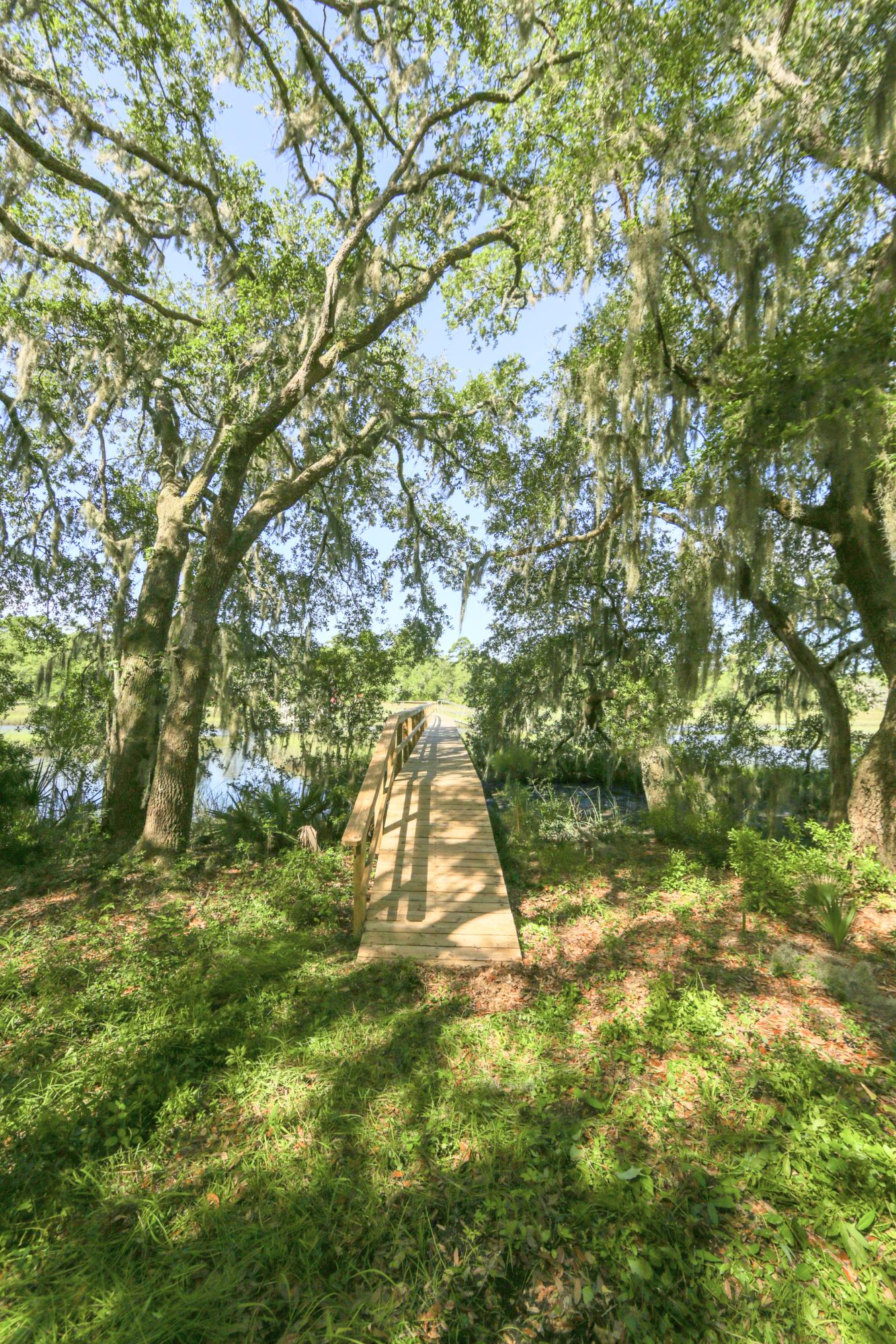 3710 Chisolm Road Johns Island, SC 29455 - Photo 4 of 30 Canopy of Oaks to Dock